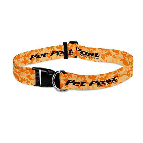 Dog Collar Sublimated Customizing